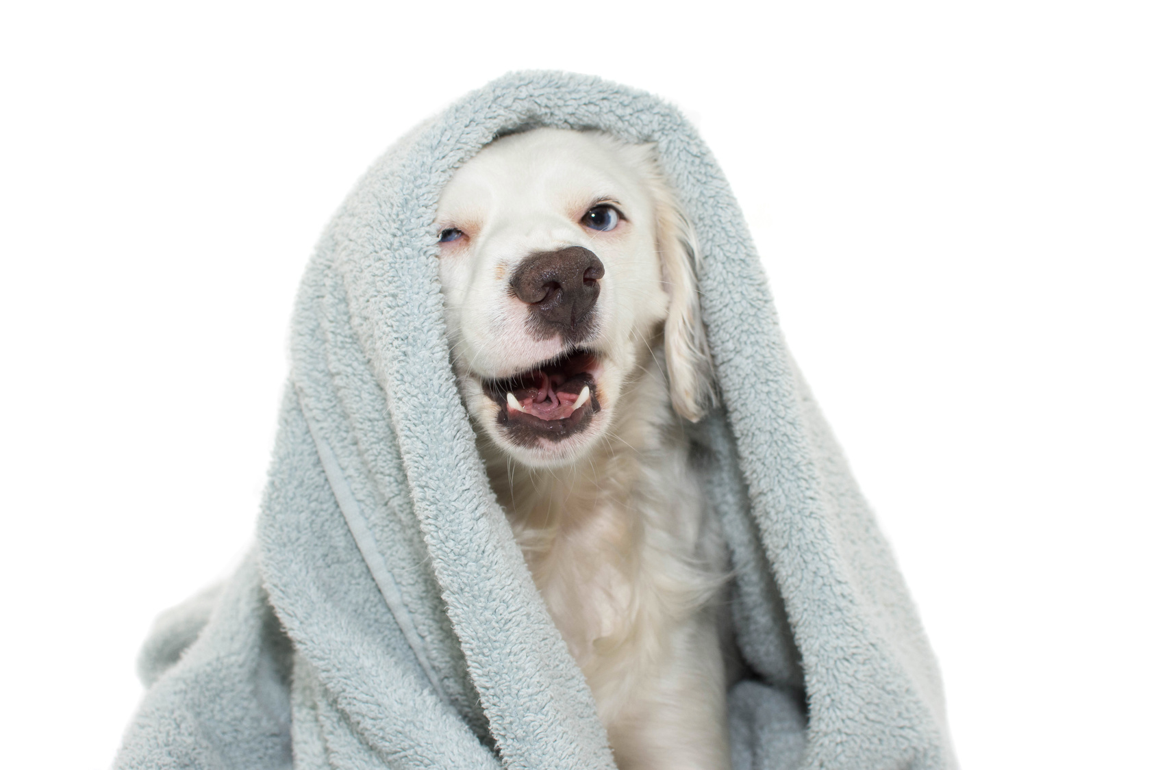 Winter Wellness: How to Feel Your Best This Season