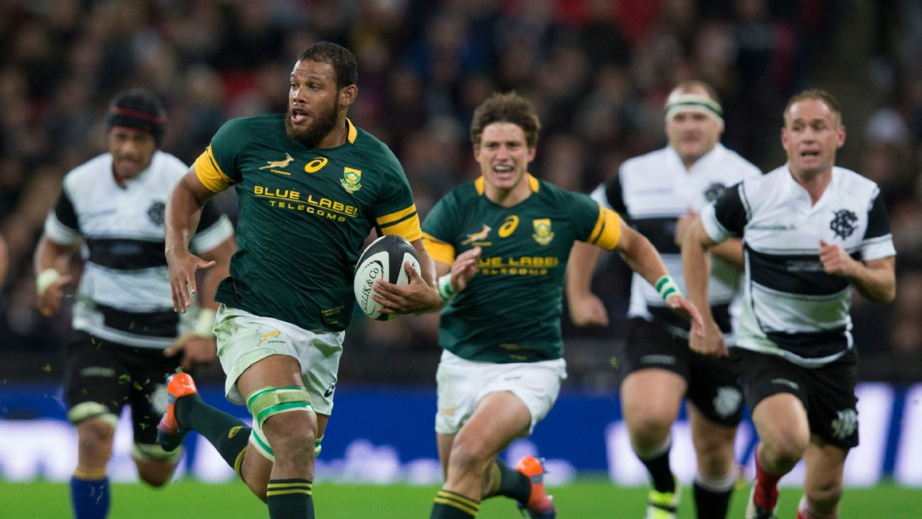 Springboks Shine in Rainy Cape Town Showdown