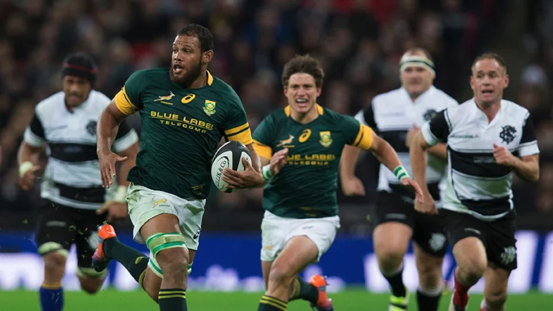 Springboks Shine in Rainy Cape Town Showdown