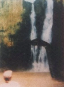 Alleged photograph of the Inkanyamba