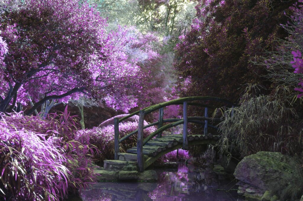 A fantasy setting of purple trees and a mysterious bridge