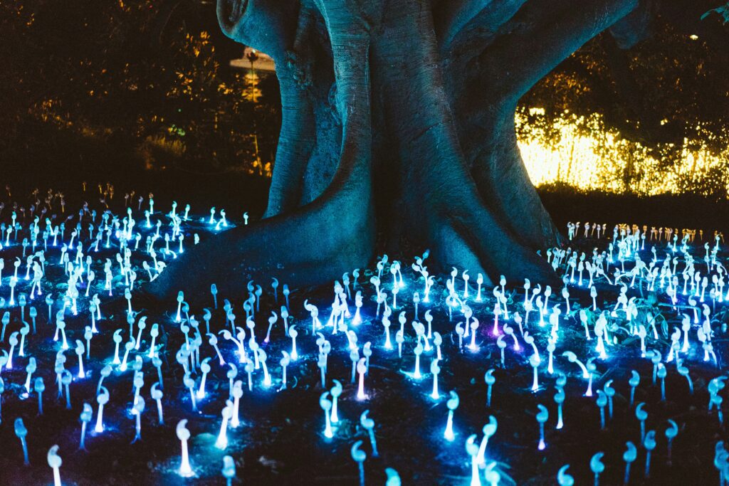 Beautiful glowing fungus surrounding a massive tree in a forst.